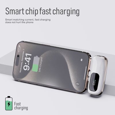 قیمت خوب باتری 5000mah کپسول با اندازه بسیار فشرده برای شارژ روزانه در حال حرکت آنلاین